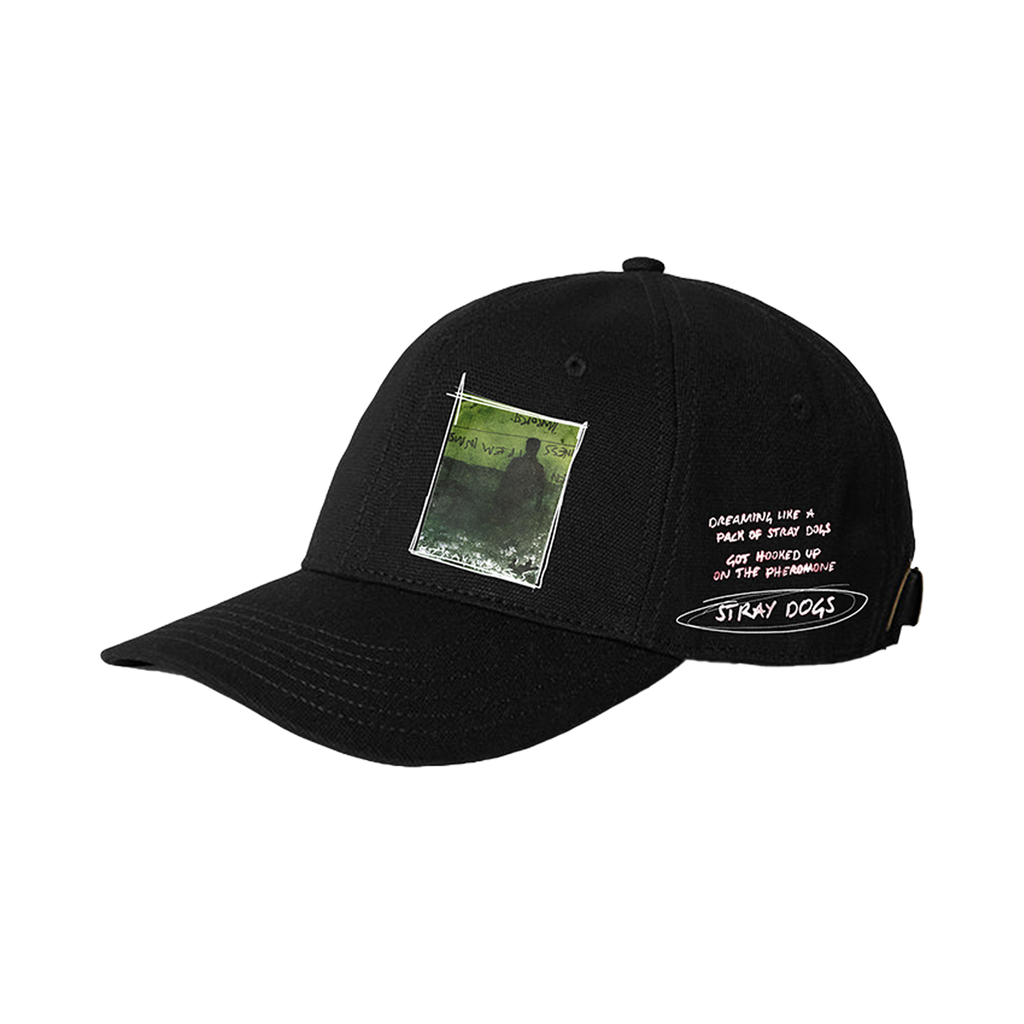 Stray Dogs Sketch Hat